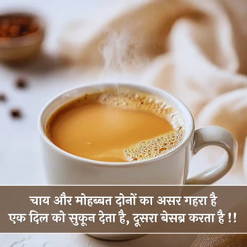 Chai Shayari Gulzar