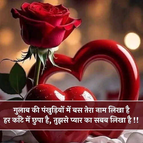 Love Rose Shayari