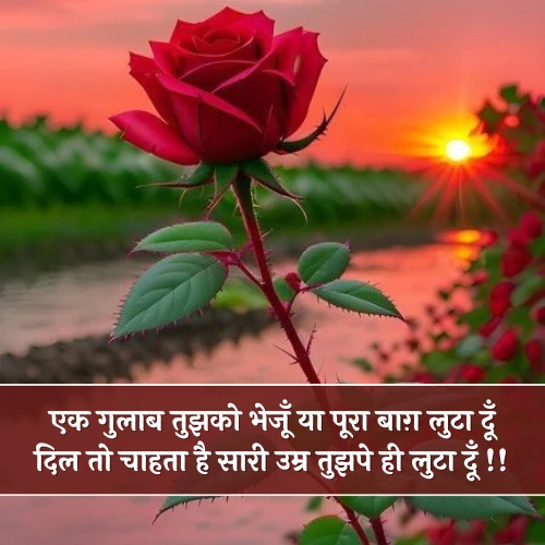 Romantic Rose Shayari